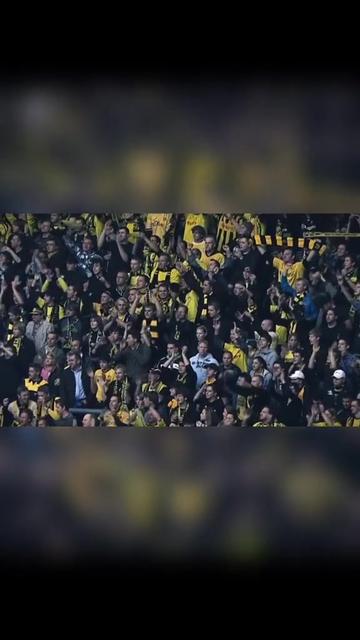 字母哥重返赛场，刷新纪录首场状态出色，热火观众沸腾！引发球迷热议的简单介绍